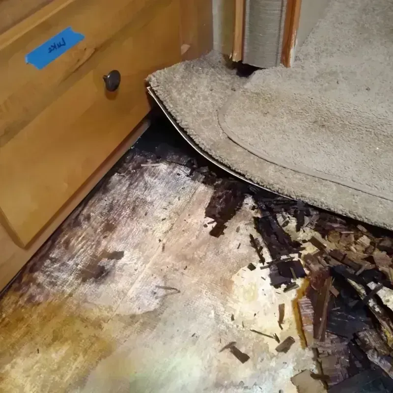 Wood Floor Water Damage in Conyers, GA